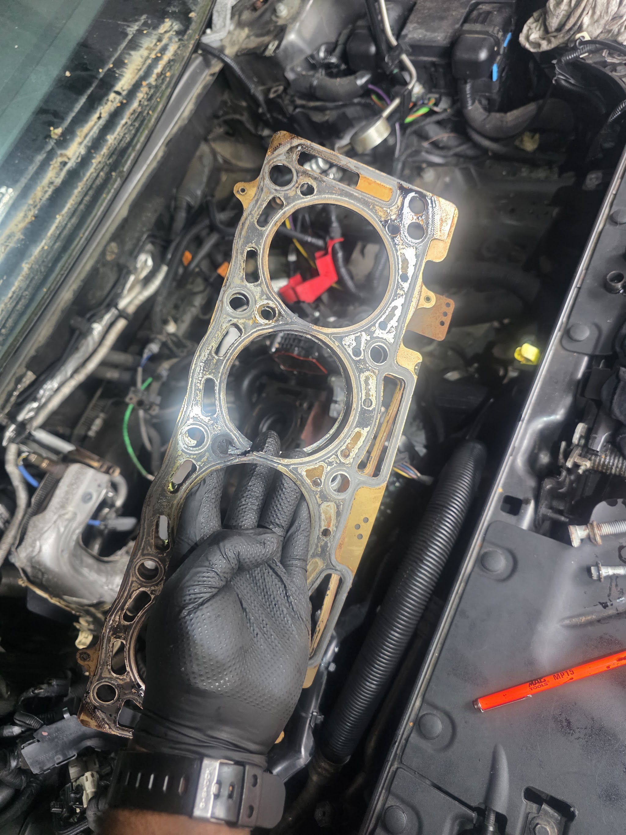 Gloved hand holding a failed head gasket over an open engine bay